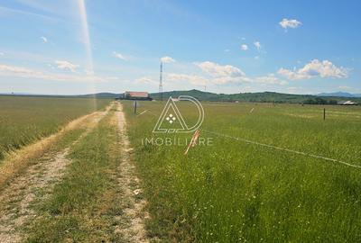 Terenuri de vânzare în Târgu Jiu – Oportunitate de investiție – Comision 0% - 2
