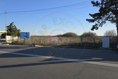 De vanzare Teren PETEA - 1