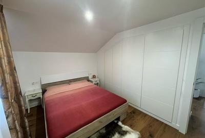 Casa P+M partial mobilata de vanzare in Campineanca (toate utilitatile) - 24