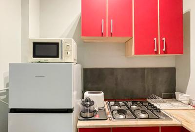 Apartament 2 camere in zona Universitatii / Centru Vechi - 14