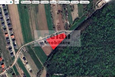 Snagov Crizantemelor Teren 3200mp, d 72ml, gaz, curent, asfalt, padure - 13