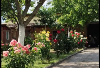 Sanandrei - Central - Duplex 5 Camere - 17