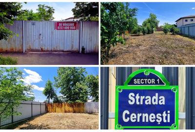 Vanzare teren intravilan 730mp Baneasa – Vatra Noua - Strada Cernesti, nr. 22 - 3