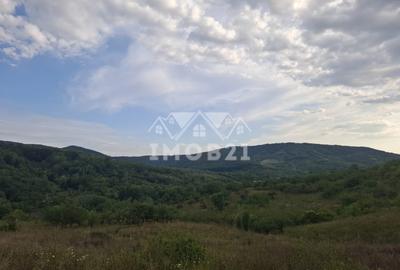 Teren spectaculos cu padure, livada si priveliste panoramica in Soimari PH - 17