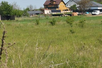 BUCIUM-BALTA CIUREA,5000 mp ,6 km din IASI , zona superba si in dezvoltare - 4