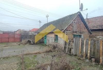 Casa cu teren 1757 mp in Sambateni de vanzare - 5