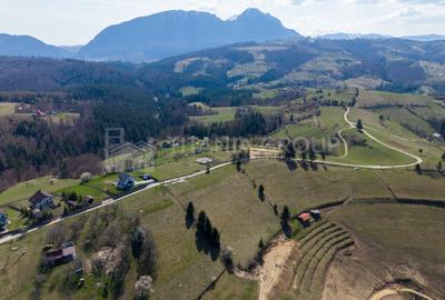 🌿 Teren Intravilan 3.791 mp | Priveliște Panoramică Superbă | Poiana Mărului - 5