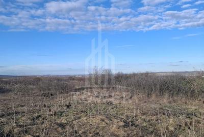 Teren Intravilan de Vânzare – 4300 mp – Cristian, zona Aeroport - 6
