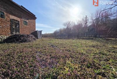 Casa individuala cu 1440 mp teren, 4 camere, Barzava, Lalasint - 4