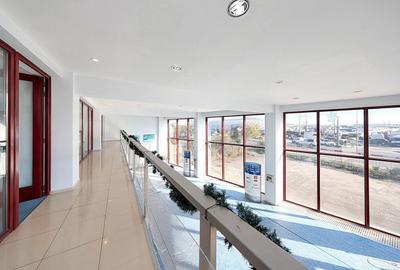 Sediu Firma - Showroom - 12