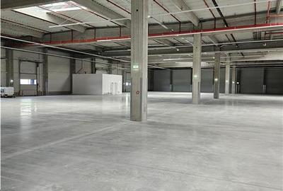 Spatii Industriale - 9500 mp - Logistica - Productie - Depozitare - Distributie - 10