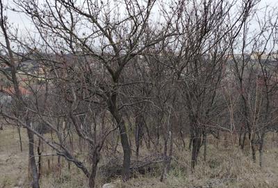 Teren Intravilan ptr case 28.15 ari cu utilitati zona strazii Dobrogeanu Gherea - 9