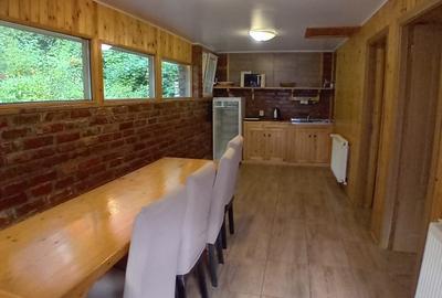 Casă cochetă de vânzare, 4 camere, Stațiunea Azuga - 7