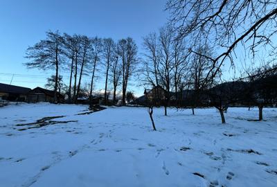 Teren intravilan 763 mp in zona Bran-Tohanita,judetul Brasov - 11