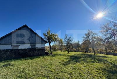 Teren agricol extravilan de 2000 mp, în Orăștie