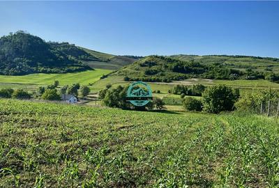 Vand teren intravilan in Sanisor cu suprafata de 4946 mp - 6