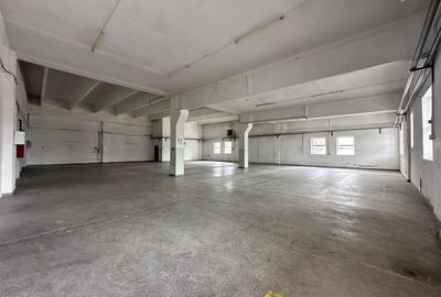 Hala/ spatiu comercial Pascani, 1500mp - 19