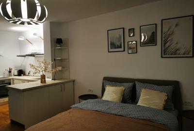 Apartament 1 camera Bulevardul Take Ionescu / Medicina ! - 14