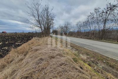 Teren extravilan | De vanzare | 1300 mp | 25 ml deschidere | Ciugud - 5