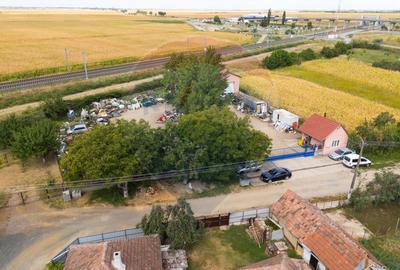 Spațiu industrial cu potential de vanzare in Paulis,Arad - 19