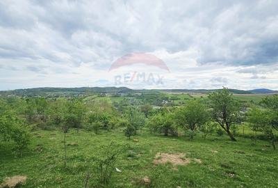Teren 5,350mp Dobreni / Strada Manastirea Horaita - 7