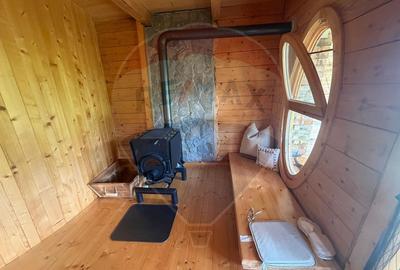 Proprietate eco-turistică de vânzare – 62.330 mp, Horea, Alba - 10