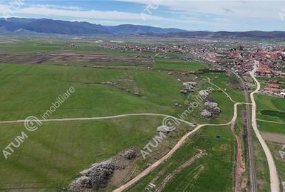Teren de vanzare 500 mp in Sibiu pretabil investitie - 7