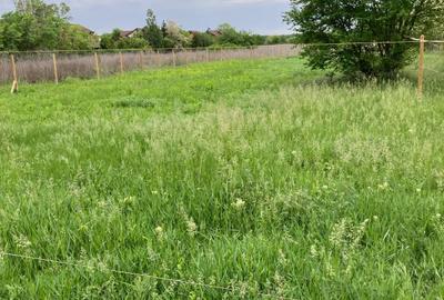 Teren 800mp, in zona Nord Paradisul Verde - 4