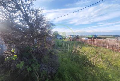 Teren Construcții intravilan de 2000 mp, în Balta Verde