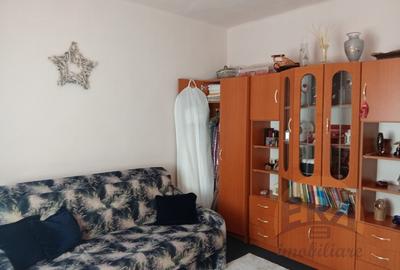 Casa Bihor Comuna Magesti Sat Josani la doar 50 de kilometri de Oradea - 9