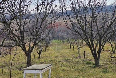 Teren extravilan 10,791mp Falticeni / Strada DJ209A, Opriseni - 17