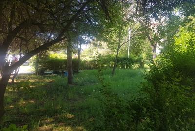 Teren intravilan 719 m.p Timisoara, Bv. Take Ionescu 59 - 2