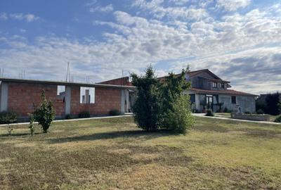 Vila P+M, an 2021, teren 3600 mp, D=50 m, Brancoveni - 3