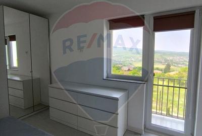 Casă 4 camere de inchiriat in Borhanci - 26