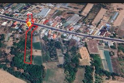 Teren intravilan de 4870 mp, în Sintești