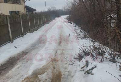 TEREN INTRAVILAN - STRADA AEROPORTULUI\ CARANSEBEȘ\JUD.CARAȘ-SEVERIN - 6