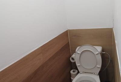 Spatiu comercial zona centrala parter cu demisol 40 mp - 8