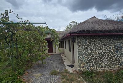 Exclusivitate-Vadu, zona centrala, casa 75mp, teren 1917 mp/31ml deschidere - 12