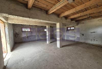 De vanzare teren industrial in Calarasi/Belciugatele - 6