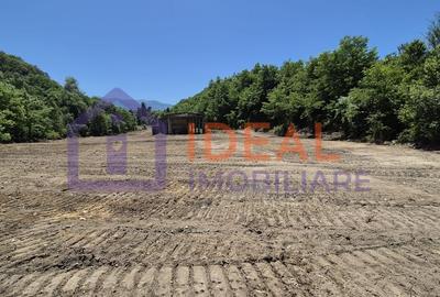 Teren intravilan 18.259 mp + construcție industrială, Mârșa - 1