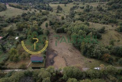 Teren intravilan de vanzare 960 mp Cisnadioara, Sibiu - 15