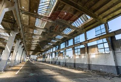 Teren industrial Orastie 13,5 ha cu hale fosta platforma industriala - 11