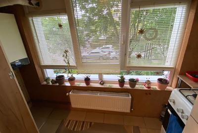 Apartament de vânzare, 2 camere, 58 mp, Între Lacuri zona Iulius Mall - 5