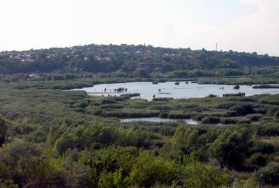 Teren Tulcea 5300 mp,strada Elizeului ,vedere microdelta.Apa,curent,gaze.