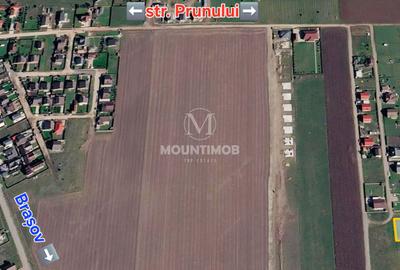 Teren intravilan 1.030 mp cu Autorizației de constructie, Bod/Brașov - 2
