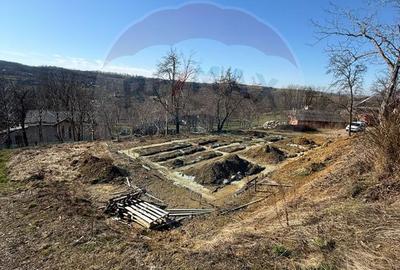 Carbunari Vanzare teren cu fundatie, proiect de casa si racorduri - 9