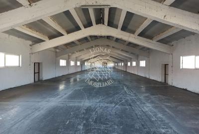 2 Hale 1000 mp si 900 mp-teren 3400 mp-oportunitate-Livezile - 1