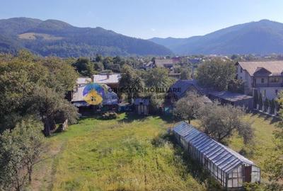 Casa tradițională de vânzare - Alexandru cel Bun - 10