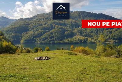 Teren Construcții intravilan de 18500 mp, în Siriu