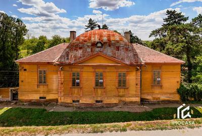 Vila Conac boieresc contelui Fabia 1920 de vânzare Păuliș Arad 2,4 ha - 3